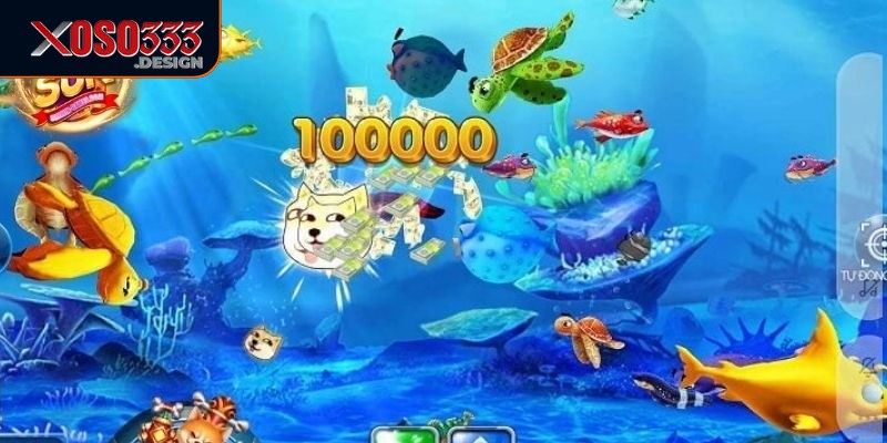 Bắn Cá Xoso333 có nhiều chế độ chơi với các mức độ khó khác nhau