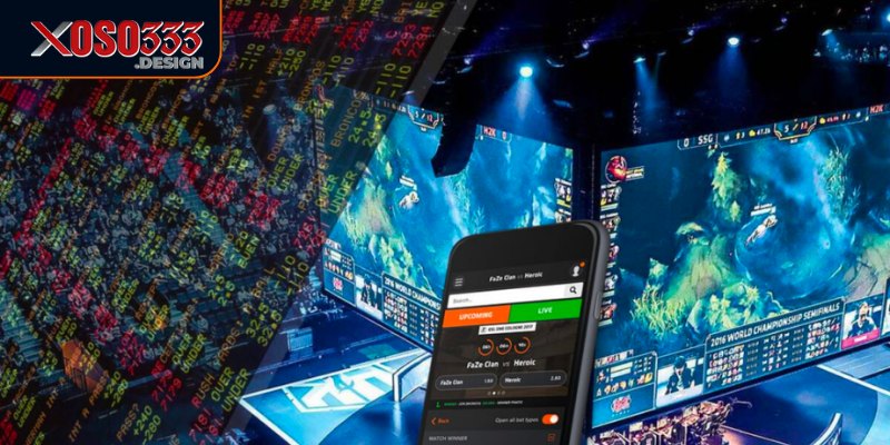 Người chơi có thể theo dõi kết quả cược ngay trên trang web