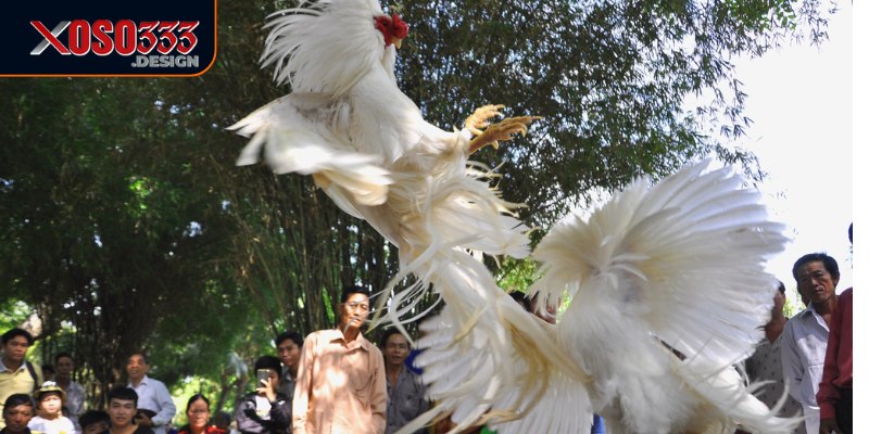 Đá gà Xoso333 hỗ trợ nhiều phương thức thanh toán