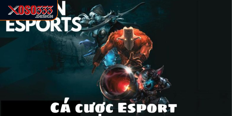 Game Esports Xoso333 là nền tảng lý tưởng cho những ai yêu thích cá cược