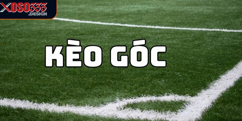 Kèo Góc Nhà Cái Xoso333 – Cơ Hội Cá Cược Đầy Hấp Dẫn 1 Kèo góc nhà cái xoso333 cung cấp các tỷ lệ cược hấp dẫn