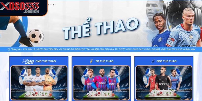 Thể thao Xoso333 cung cấp nhiều lựa chọn cá cược hấp dẫn