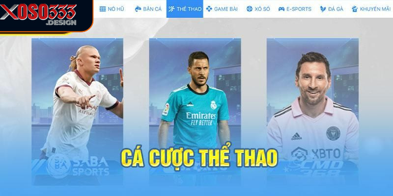 Tỷ lệ cược tại Thể thao Xoso333 rất cạnh tranh và công bằng