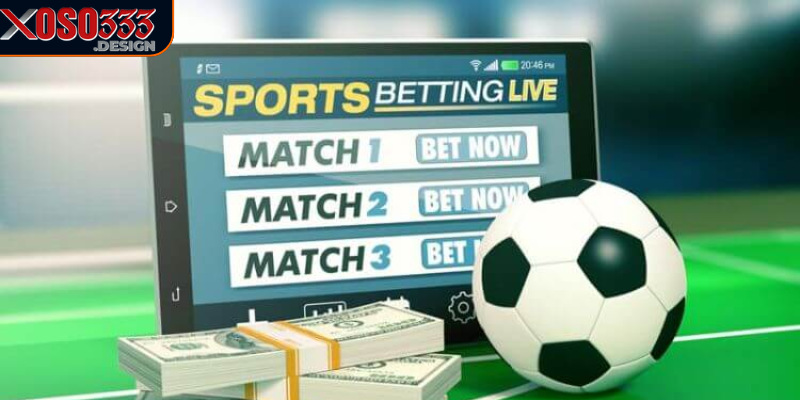 Người chơi nên cân nhắc mức độ rủi ro khi chọn tỷ lệ cá cược